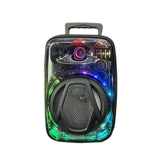 CH-880 Prenosivi Karaoke Bluetooth Zvučnik