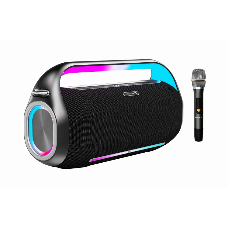 Swissten Zvučnik Bluetooth Harmony 300W Black