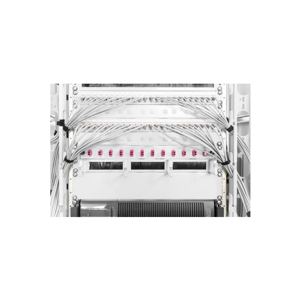 Digitus Blank panel za rack 19 , 2U, Sivi