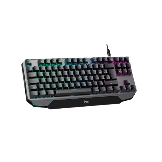 TAST MS ELITE C905 US gaming