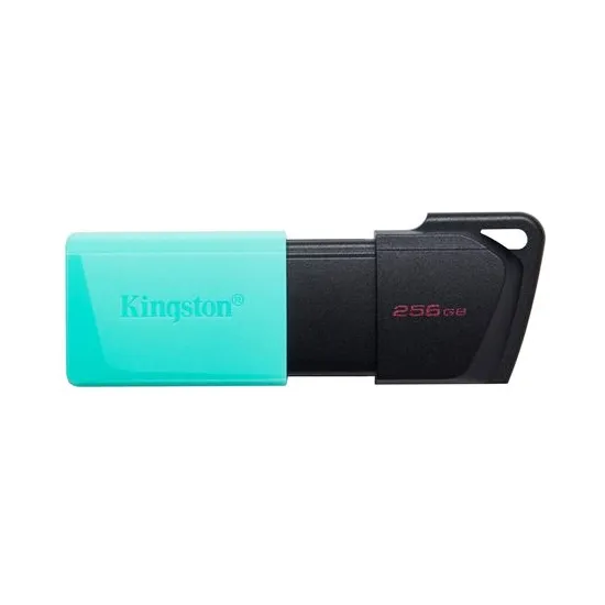 USB FD.256GB KINGSTON DTXM/256GB