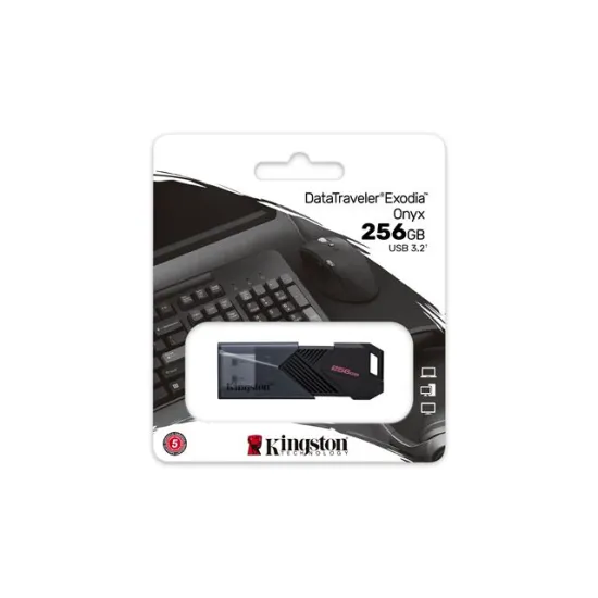 USB FD.256GB KINGSTON DTXON/256GB