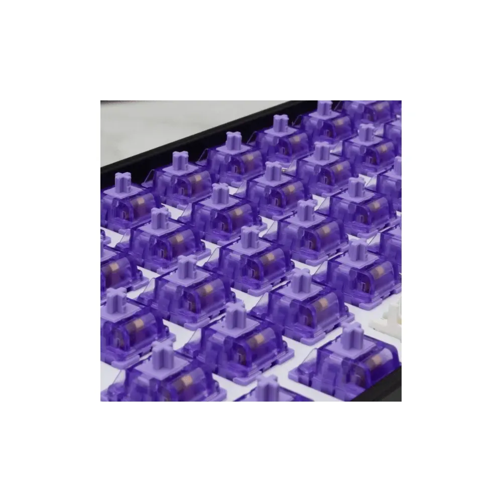 WHITE SHARK MEHANICKI PREKIDAC ZA TIPKOVNICU PURPLEPULSE 65