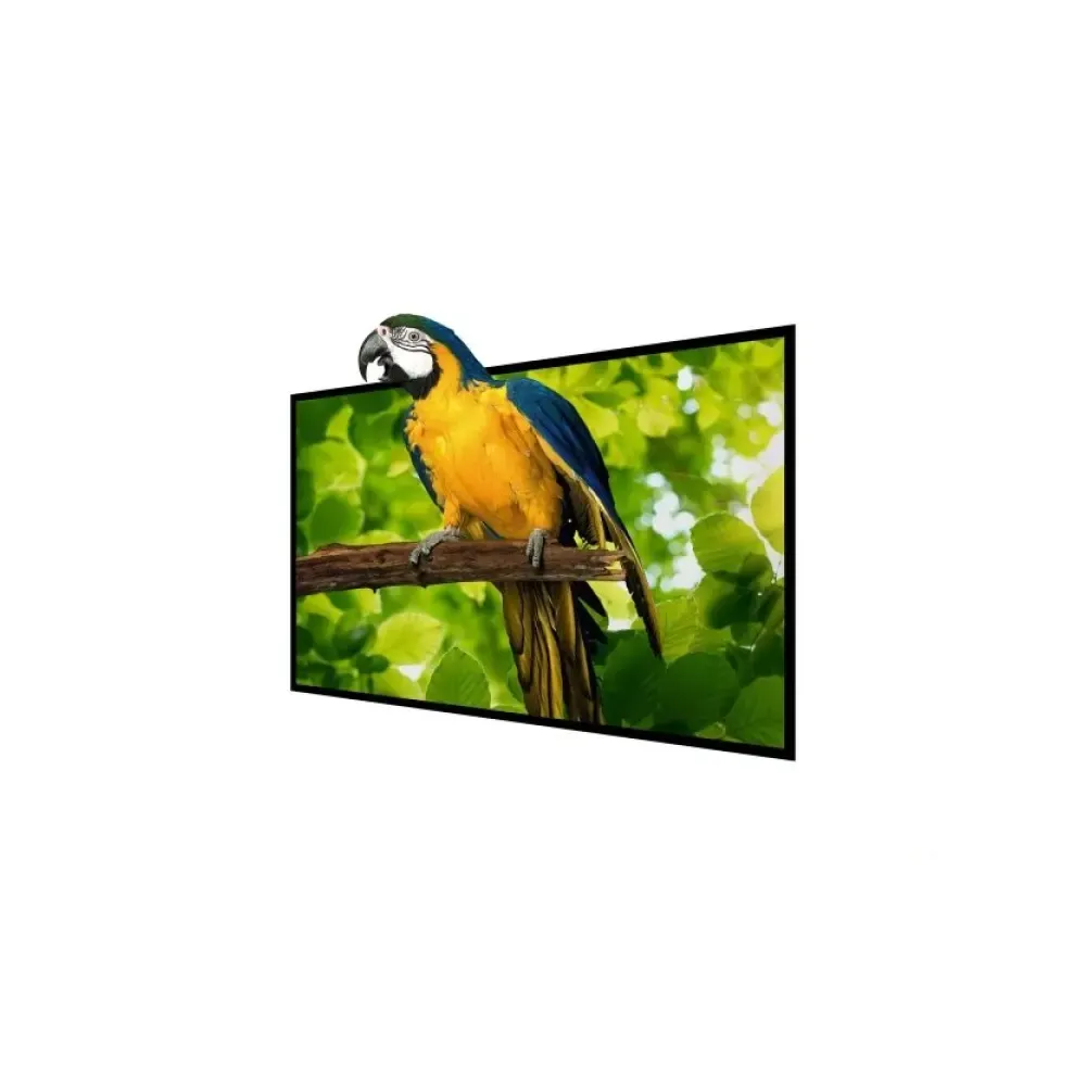 BW-VS4 100inch Projector Screen