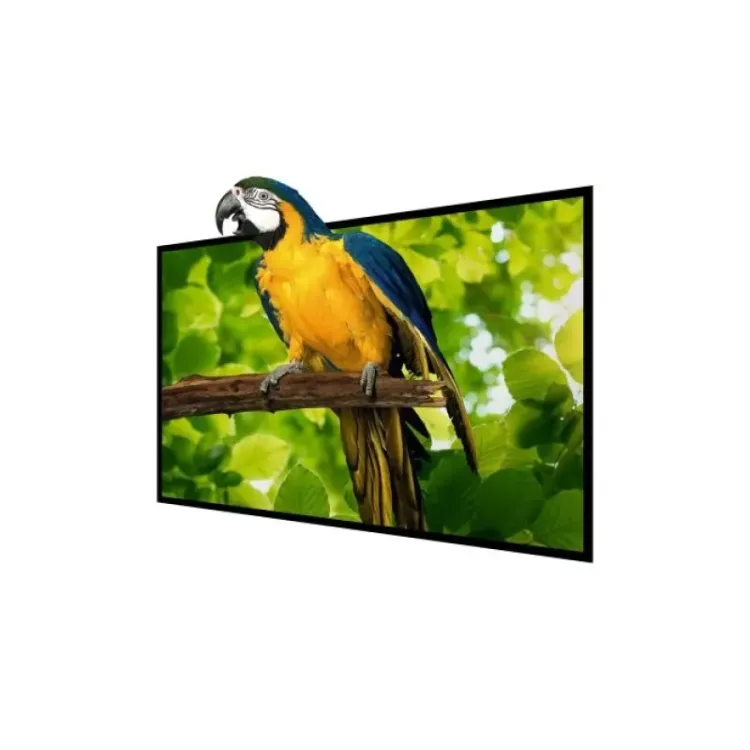 BW-VS4 100inch Projector Screen