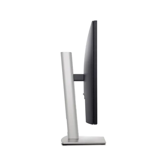 24 inch P2425 100Hz Professional IPS monitor