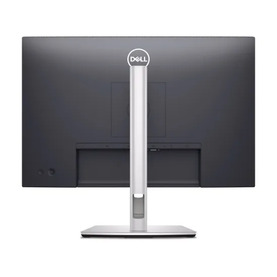 24 inch P2425 100Hz Professional IPS monitor