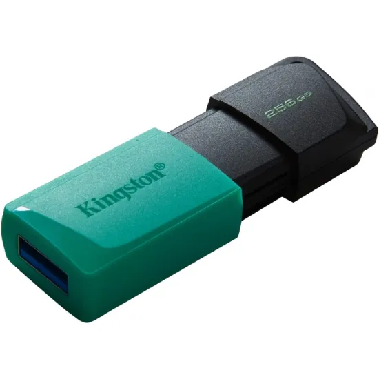 256GB DataTraveler Exodia M USB 3.2 Gen1 DTXM/256GB