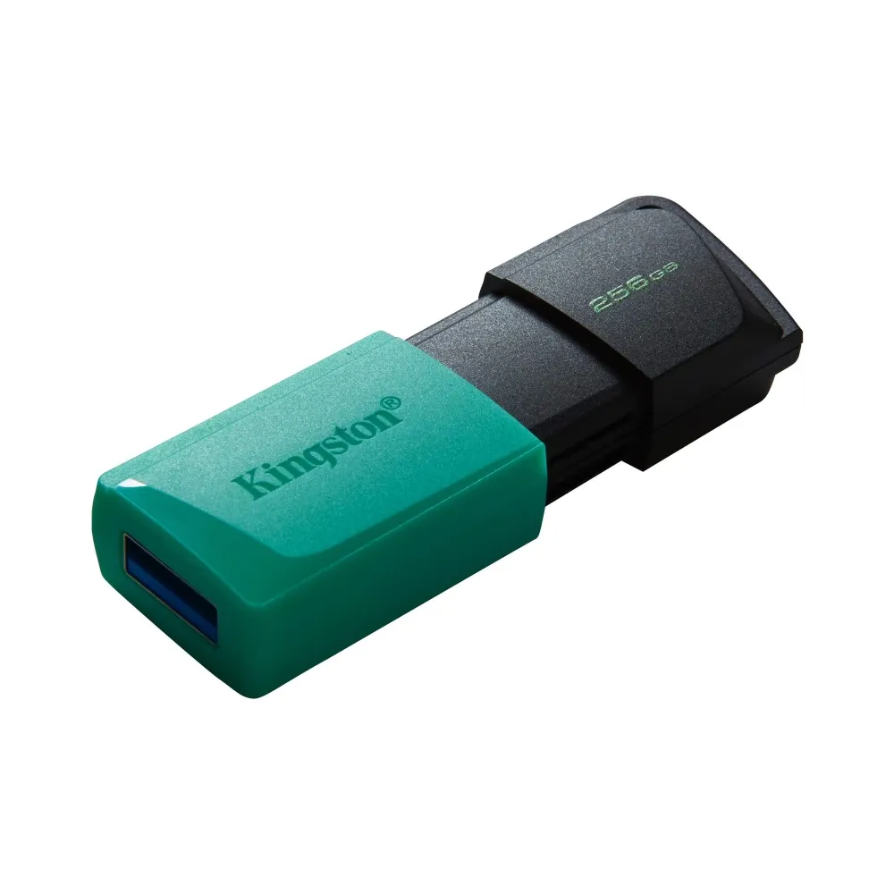 256GB DataTraveler Exodia M USB 3.2 Gen1 DTXM/256GB