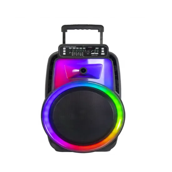 CH-1228 Prenosivi Karaoke Bluetooth Zvučnik