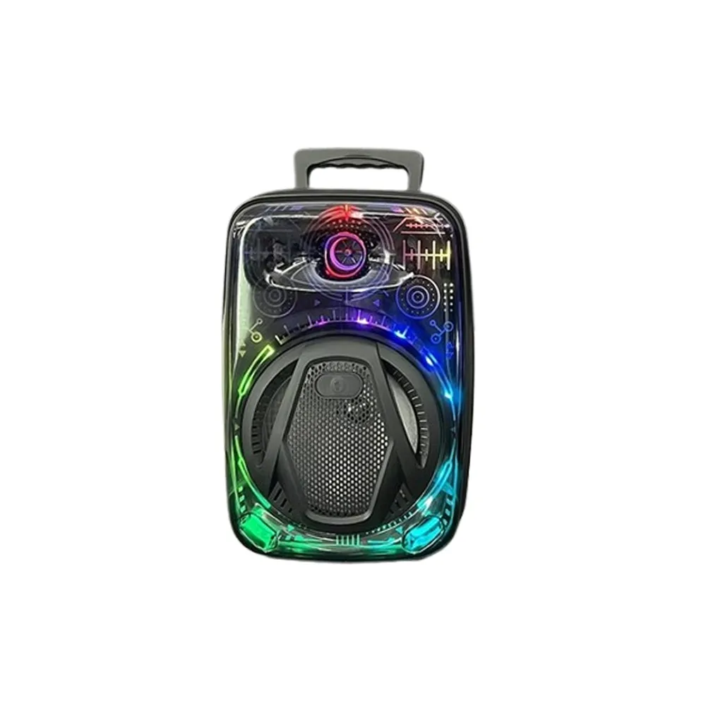 CH-880 Prenosivi Karaoke Bluetooth Zvučnik