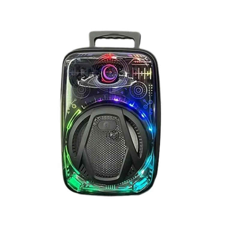 CH-880 Prenosivi Karaoke Bluetooth Zvučnik