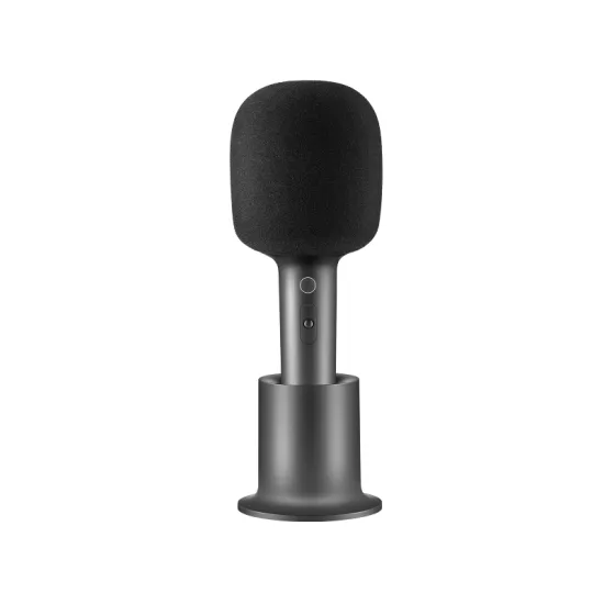 Karaoke Microphone (BHR6752GL)