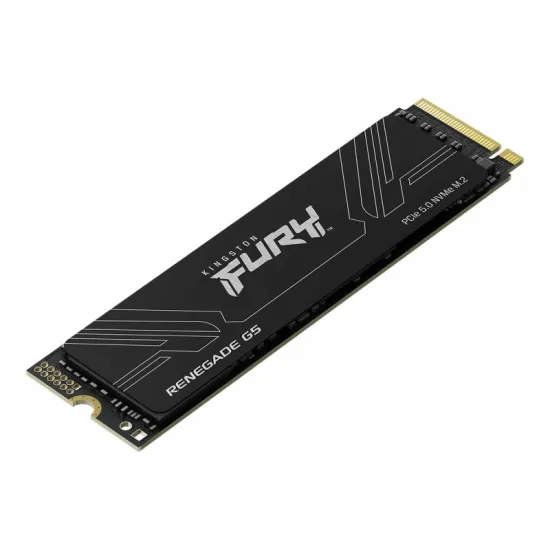 1TB M.2 NVMe SFYR2S/1T0 SSD FURY Renegade G5 SSD
