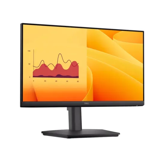 21.5 inch E2225HSM 100Hz Pro monitor