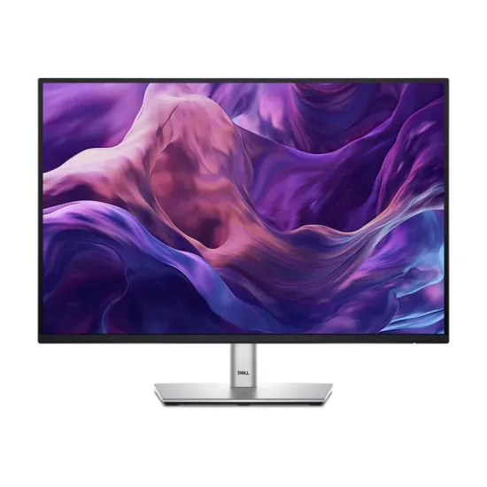 24 inch P2425 100Hz Professional IPS monitor