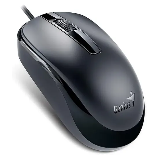 GENIUS Mouse DX-120 USB, BLACK