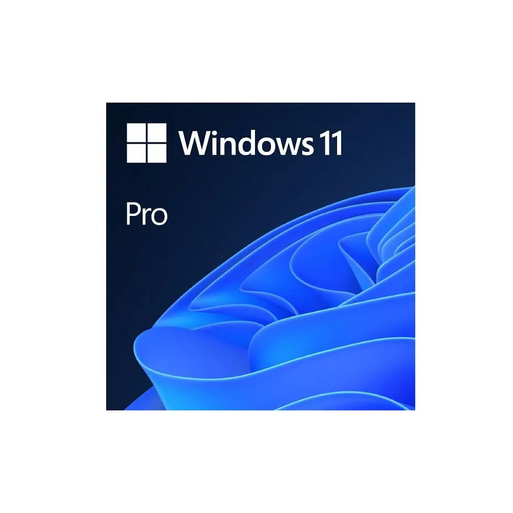 Windows 11 Pro Eng Intl OEM (FQC-10528)