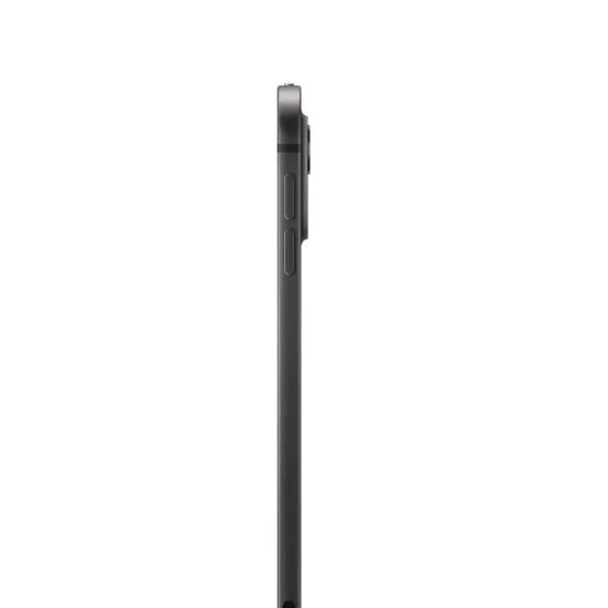 Apple iPad Pro 11 Wi-Fi 256GB space black (5.Gen.)