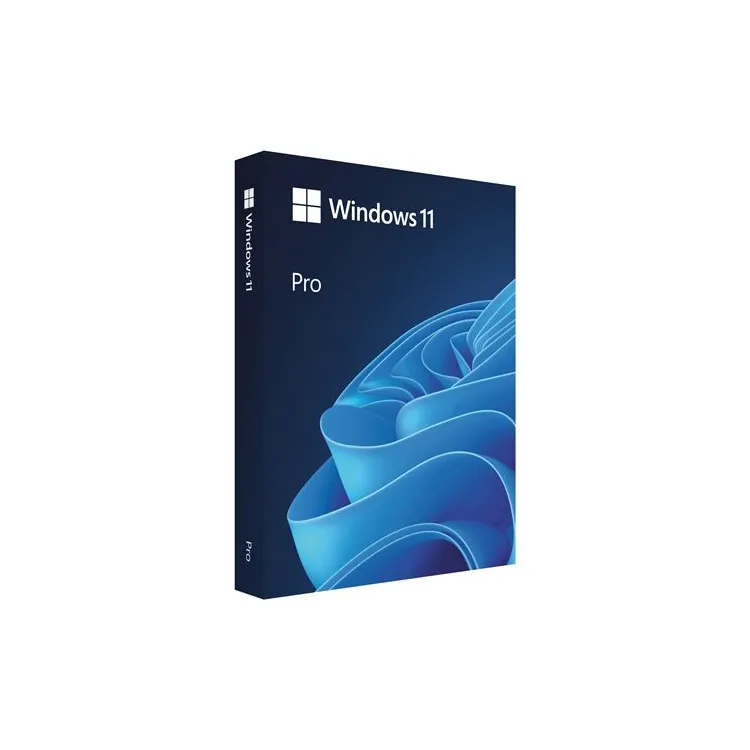 FPP Windows 11 Pro 64-bit Eng USB, HAV-00163