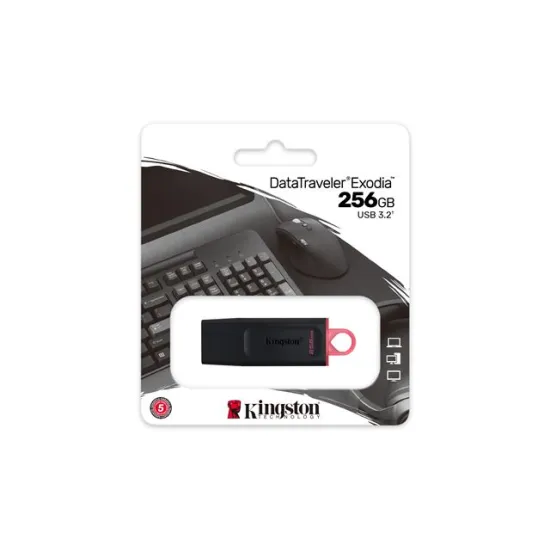 MEM UFD 256GB DTX KIN
