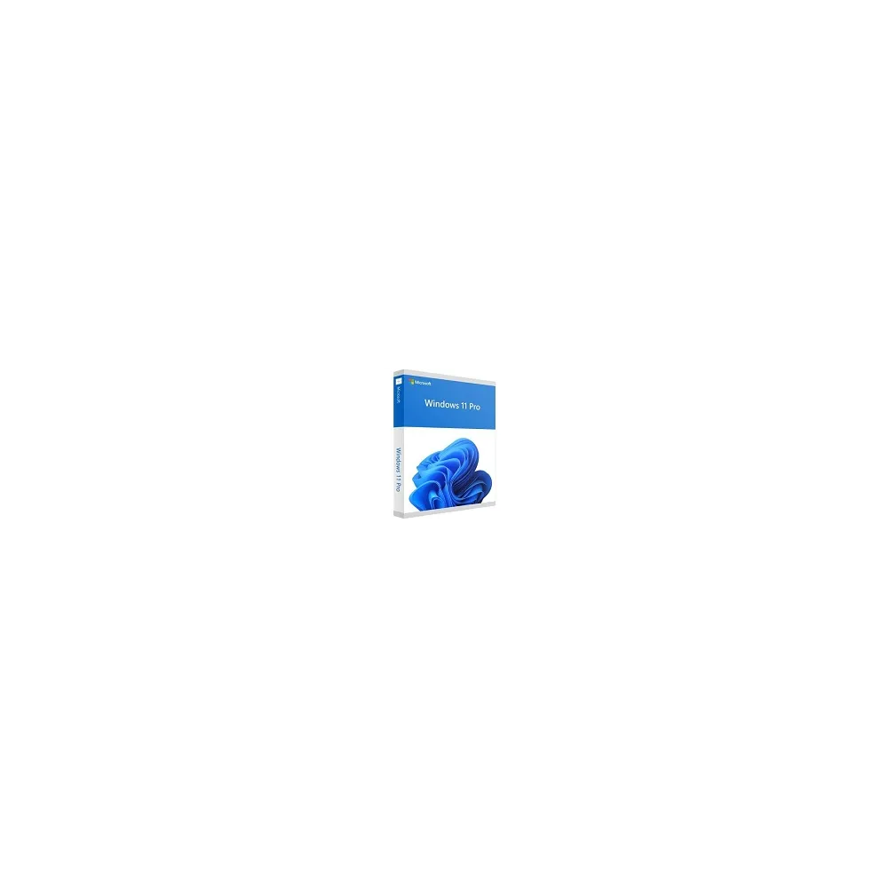 Win 11 Pro 64Bit Eng Intl 1pk DSP OEI DVD