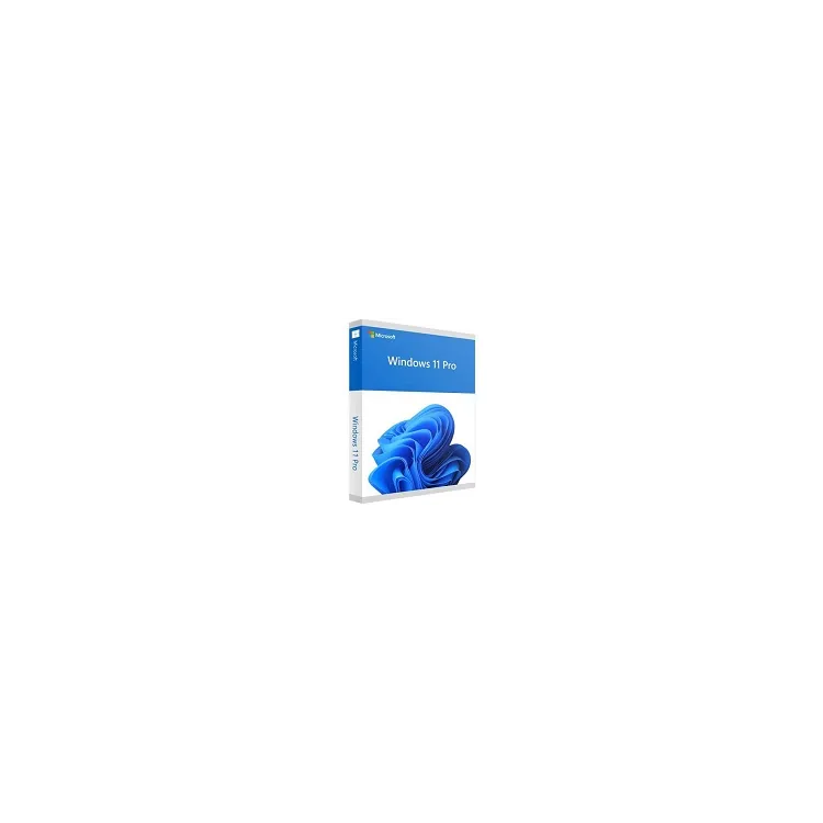 Win 11 Pro 64Bit Eng Intl 1pk DSP OEI DVD