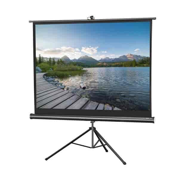 Platno za projektor zidno TD9696M tripod 244x244 1:1