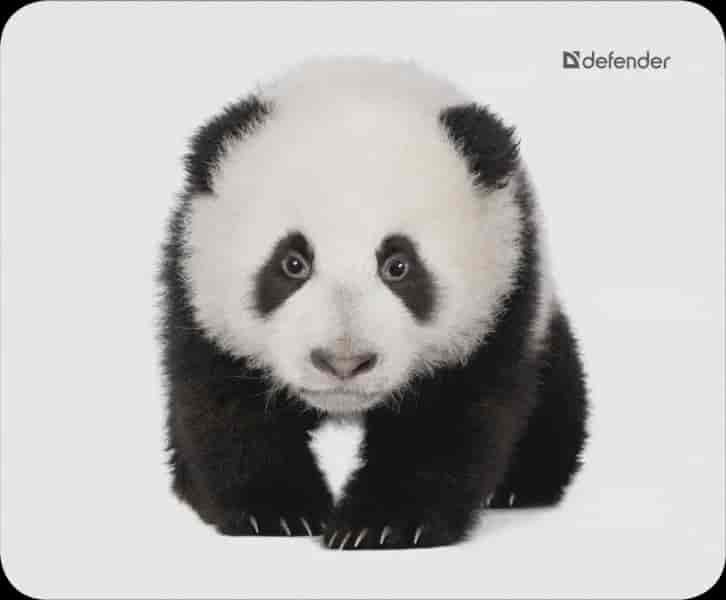 Podloga Wild Animals mouse pad, 220x180x2 mm, 8 pictures
