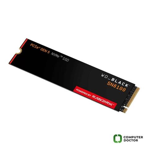 1TB M.2 NVMe SSD Gen5 WDS100T1X0M SN8100 Black